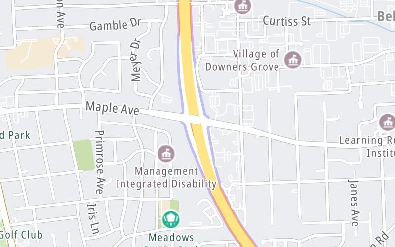 Maple Avenue