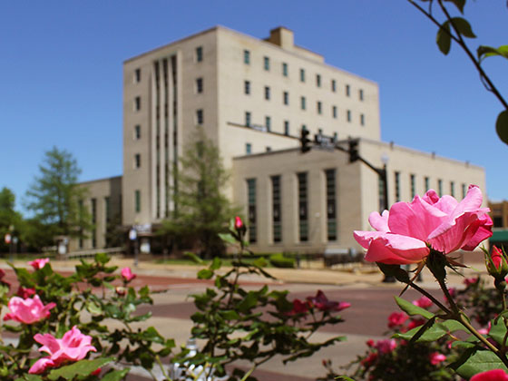 Regional photo of Tyler - Longview